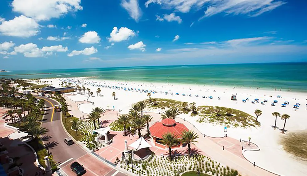 This image features a sunny beachfront with white sand blue umbrellas palm trees and visitors enjoying a clear day by the turquoise ocean