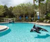 Outdoor Pool at Hilton Garden Inn Orlando at SeaWorld International Center