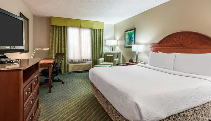 Room Photo for Hilton Garden Inn International Drive 