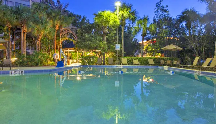This image shows a tranquil outdoor swimming pool area surrounded by palm trees and lounge chairs illuminated by evening lights