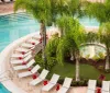 The image depicts a tranquil pool area lined with palm trees loungers and red cushions suggesting a tropical resort setting