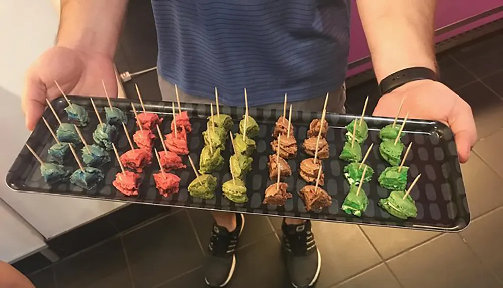 A person is holding a tray with colorful scoops of ice cream on sticks
