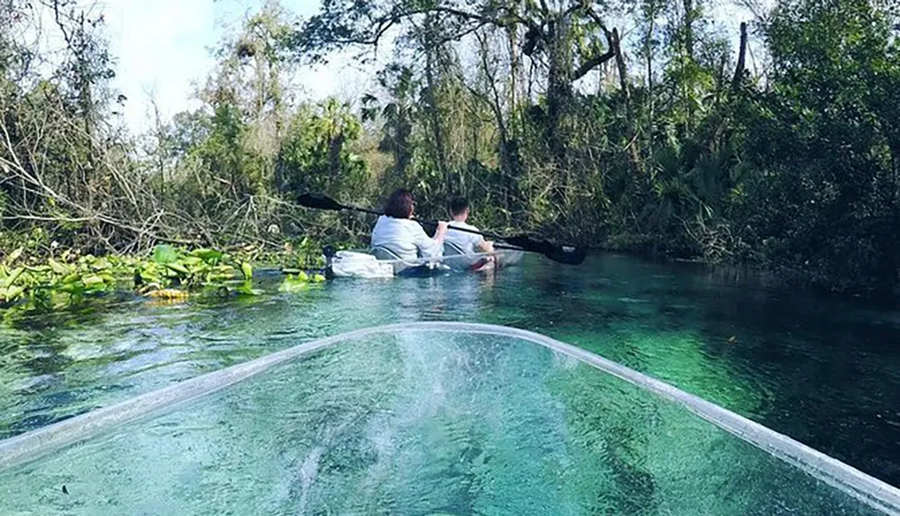 Two people are kayaking in clear water surrounded by lush greenery with the perspective from the transparent front of the kayak