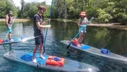 Three people are stand-up paddleboarding on a calm river with clear water and lush greenery in the background.