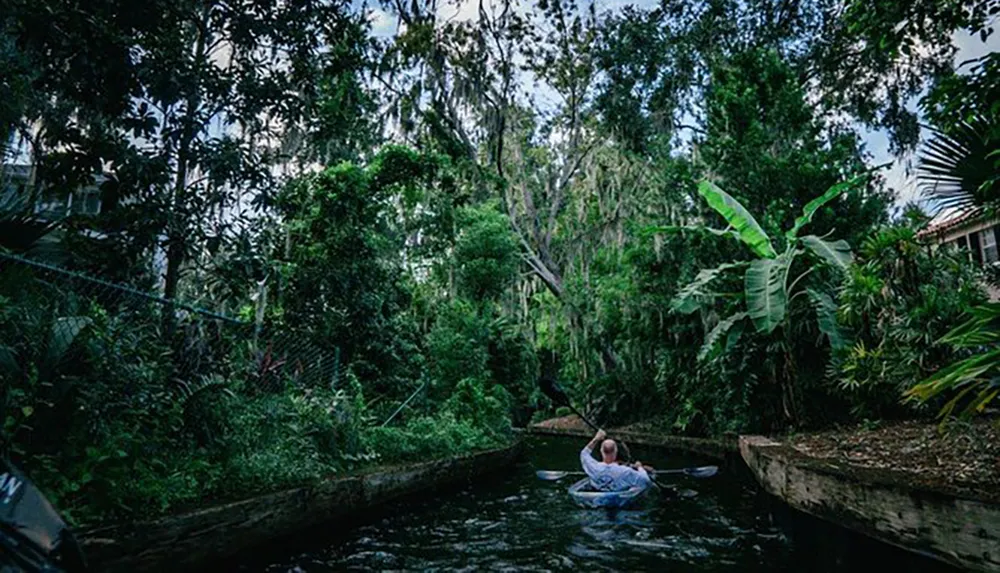 A person is kayaking through a narrow vegetated waterway surrounded by lush greenery and overhanging trees