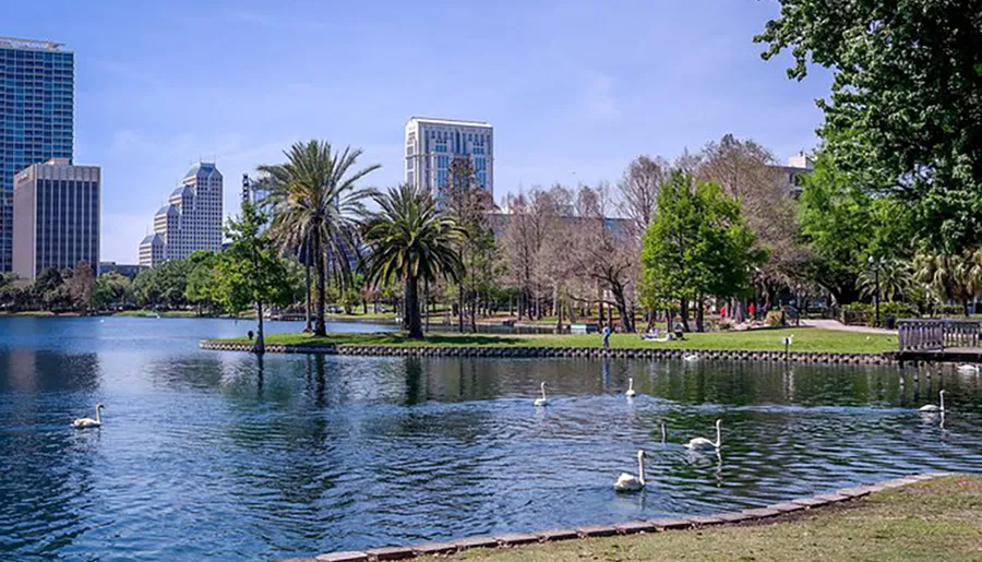 This image depicts a serene urban park with a clear blue lake where swans are swimming, surrounded by lush greenery and a backdrop of modern city skyscrapers under a blue sky.