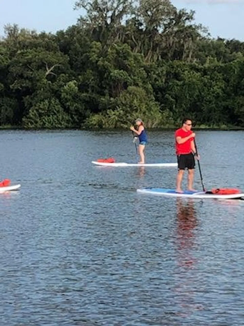 Two people are paddleboarding on calm water with lush greenery in the background