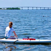Dolphin Island Hop Tour