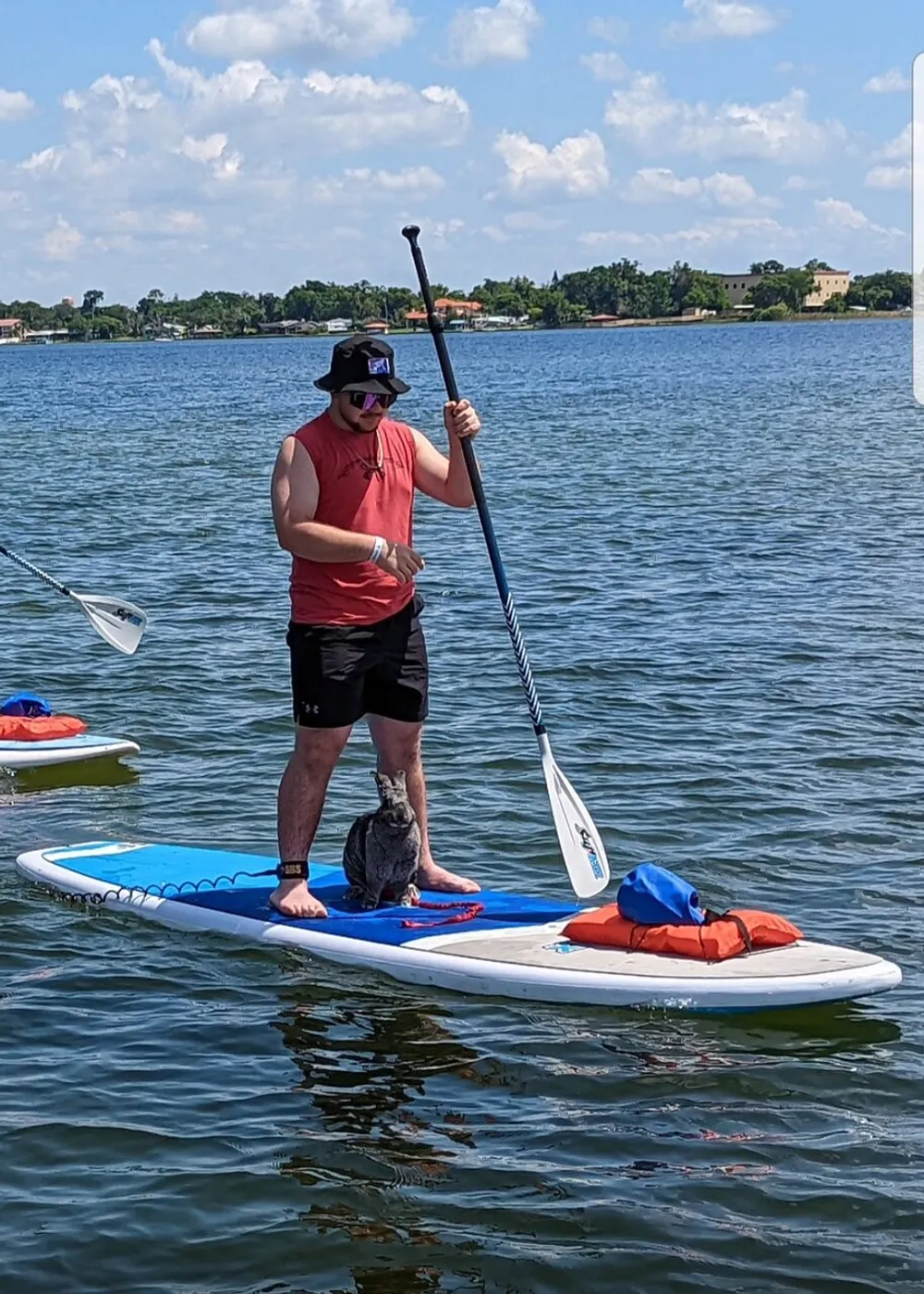 A person stands paddle boarding on calm water with a dog sitting on the front of the board