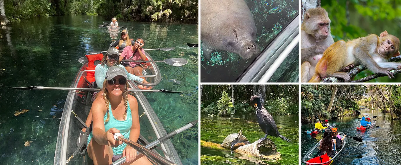 Clear Kayak Adventures Through Silver Springs