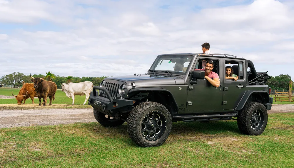 A family enjoys a drive in a black Jeep Wrangler with cows in the background in a countrified setting