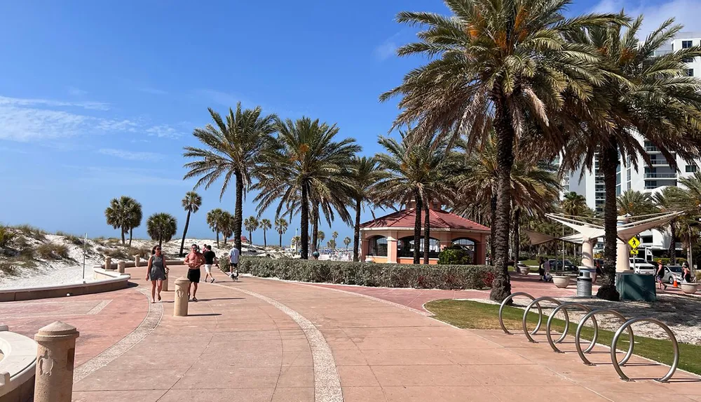 A sunny beachside promenade lined with tall palm trees features pedestrians and a gazebo creating a relaxed coastal atmosphere