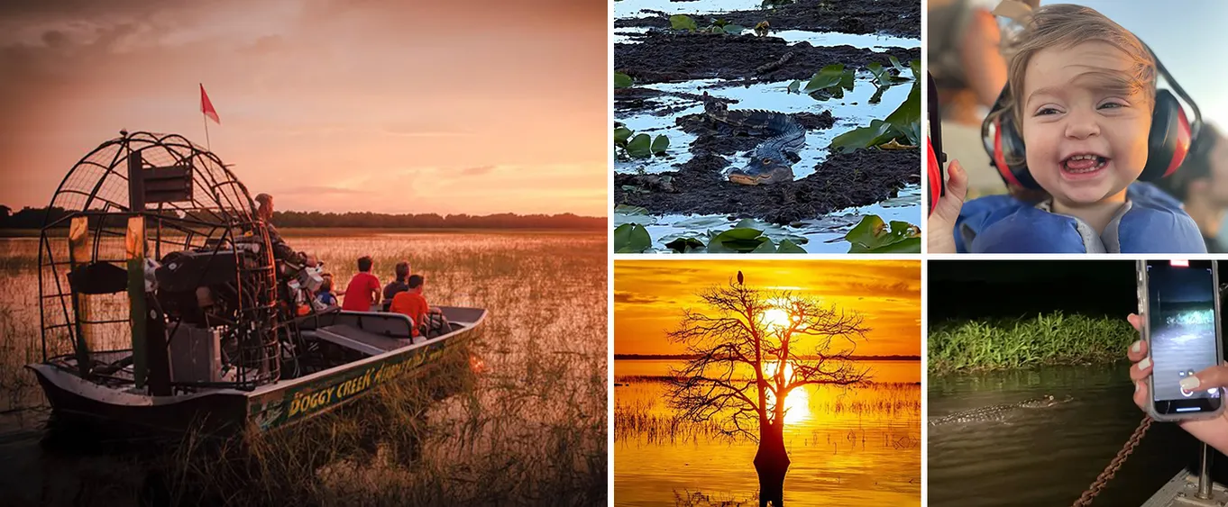 Sunset Airboat Ride by Boggy Creek Airboat Adventures Near Orlando