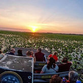 Sunset Airboat Ride by Boggy Creek Airboat Adventures