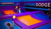 People of different ages are playing dodgeball on an indoor trampoline court with vibrant purple and blue colors.