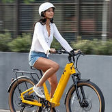 1 Day Electric Bike Rental