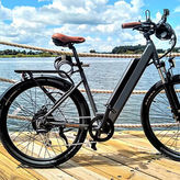Monthly Pedal Bike