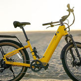 1 Day Pedal Bike Rental