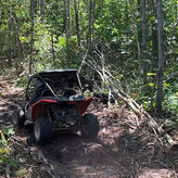 Bamboo Dune Buggy Tour