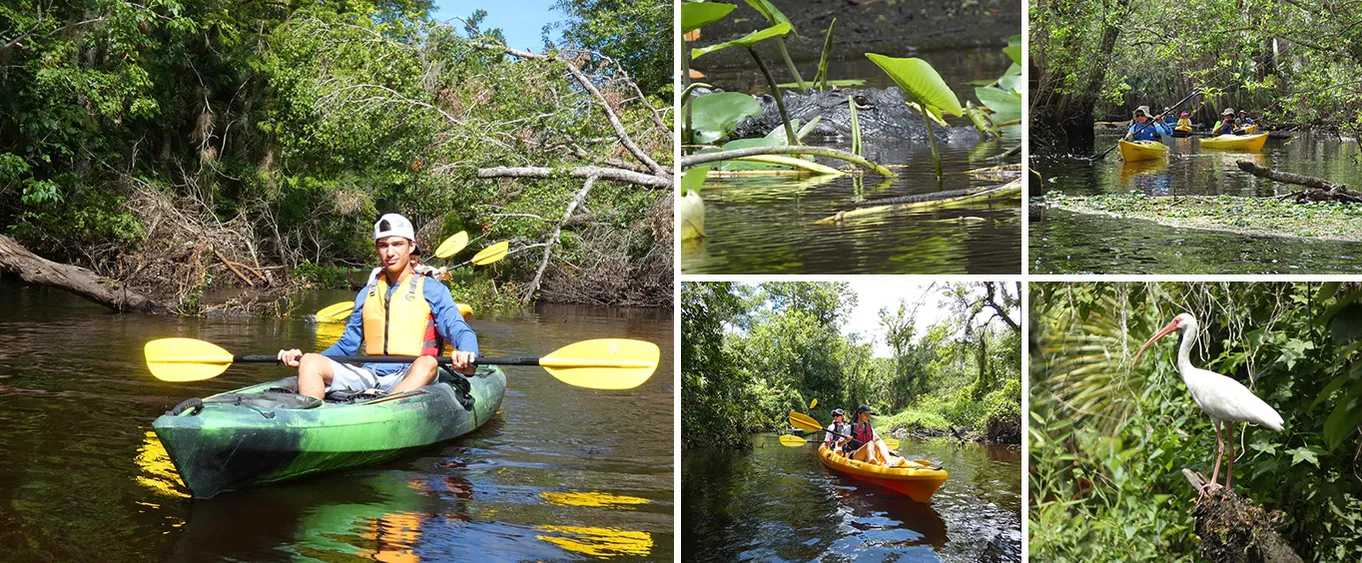 The Blackwater Creek Kayak Adventure