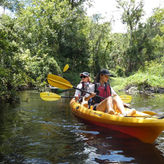 Small Group Blackwater Creek Scenic River Kayak Tour With Lunch