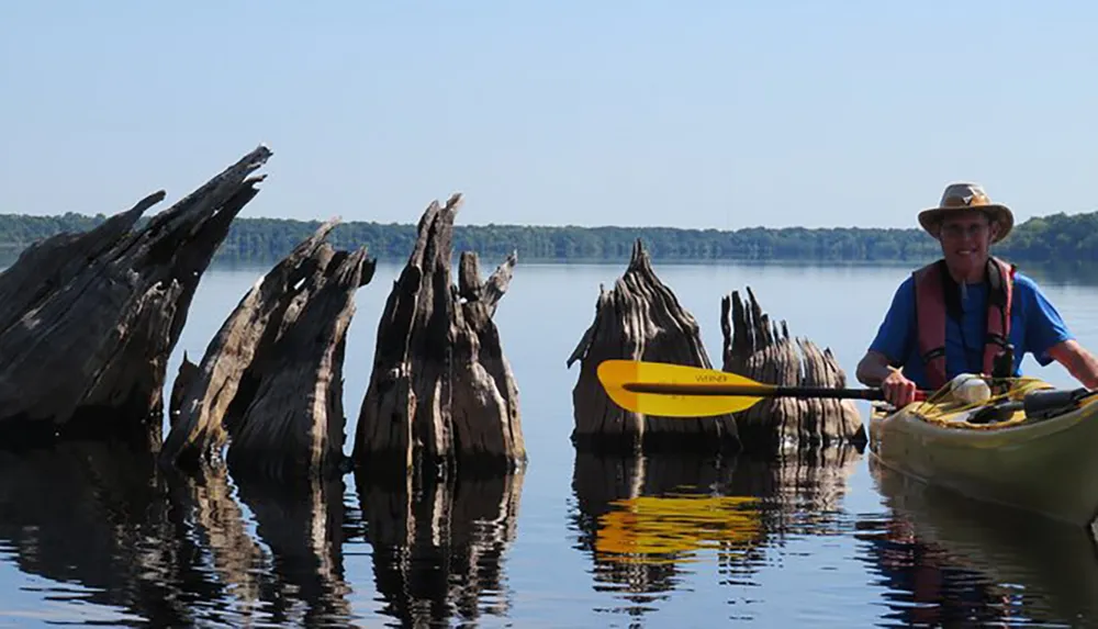 A smiling person is kayaking near weathered tree stumps protruding from calm lake waters