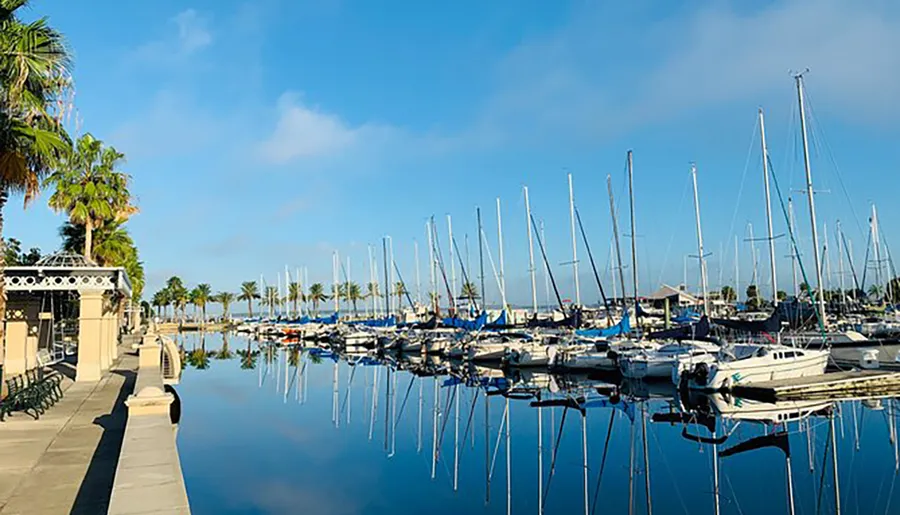 A serene marina is filled with docked sailboats under a clear blue sky, with calm waters reflecting the boats and palm trees lining the promenade.