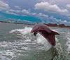 A dolphin is energetically leaping out of the water near a bridge under a partly cloudy sky