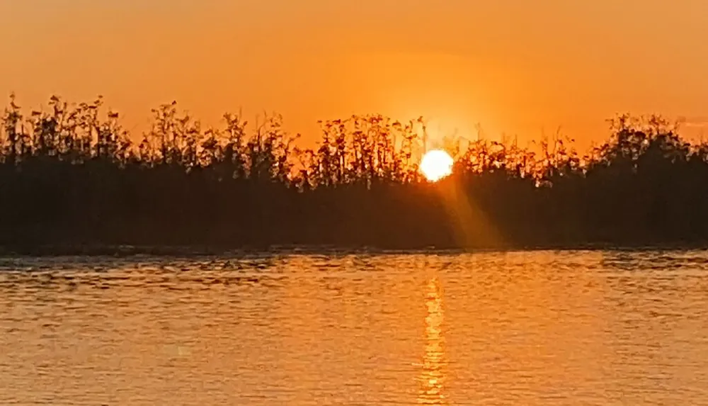 The image captures a serene sunset with the sun dipping close to the horizon behind silhouette trees its reflection stretching across rippling water