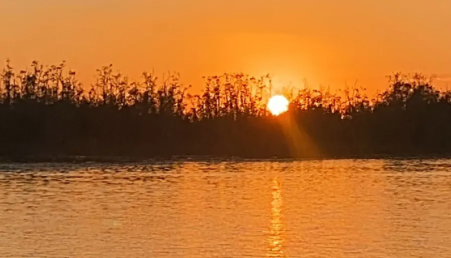 The image captures a serene sunset with the sun dipping close to the horizon behind silhouette trees, its reflection stretching across rippling water.