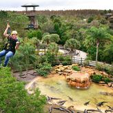 Gatorland Screamin Gator Zipline