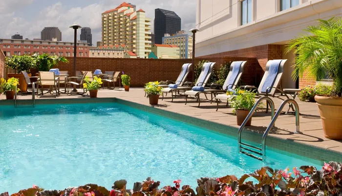 This image depicts a serene rooftop pool area equipped with lounge chairs surrounded by potted plants and with a view of city buildings under a clear blue sky