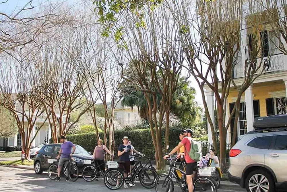 A group of cyclists is standing on a sunny residential street lined with trimmed trees and parked cars