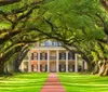 An elegant white mansion is framed by a majestic alley of oak trees draped with Spanish moss leading up to its grand entrance
