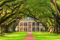 Small Airboat & Oak Alley Plantation Combo Guided Tour Photo