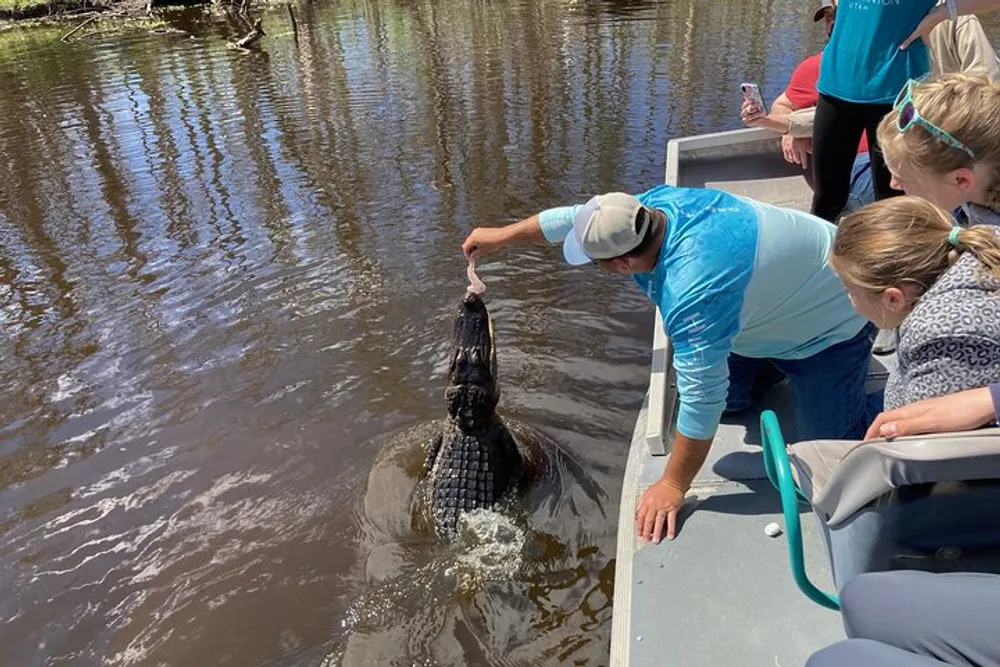 A person is feeding an alligator from a boat while several onlookers watch