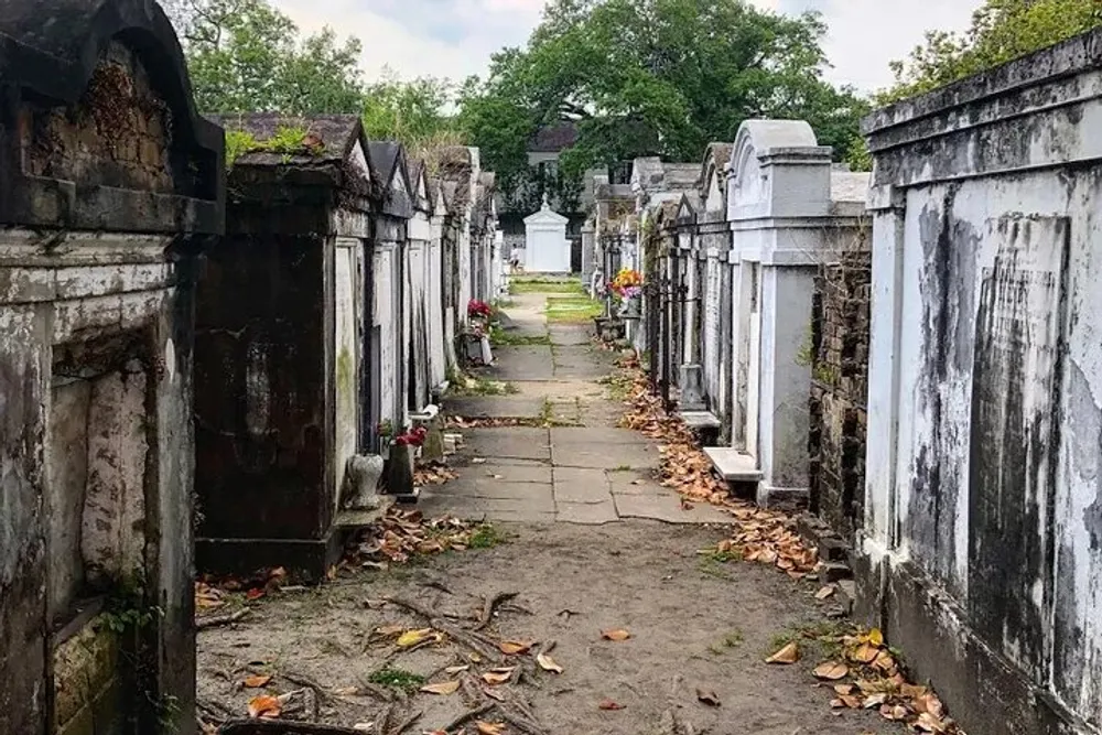 The image shows an alleyway lined with aged above-ground tombs characteristic of a historic cemetery adorned with a scattering of fallen leaves and sporadic floral tributes