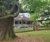 An old-fashioned colorful house with a wraparound porch is framed by the sweeping branches of large trees in a lush green setting