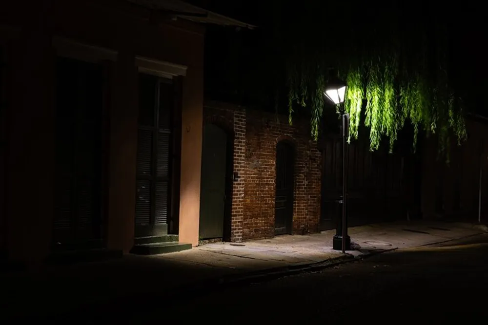 A solitary street lamp illuminates a quiet dark street lined with traditional buildings and hanging branches at night