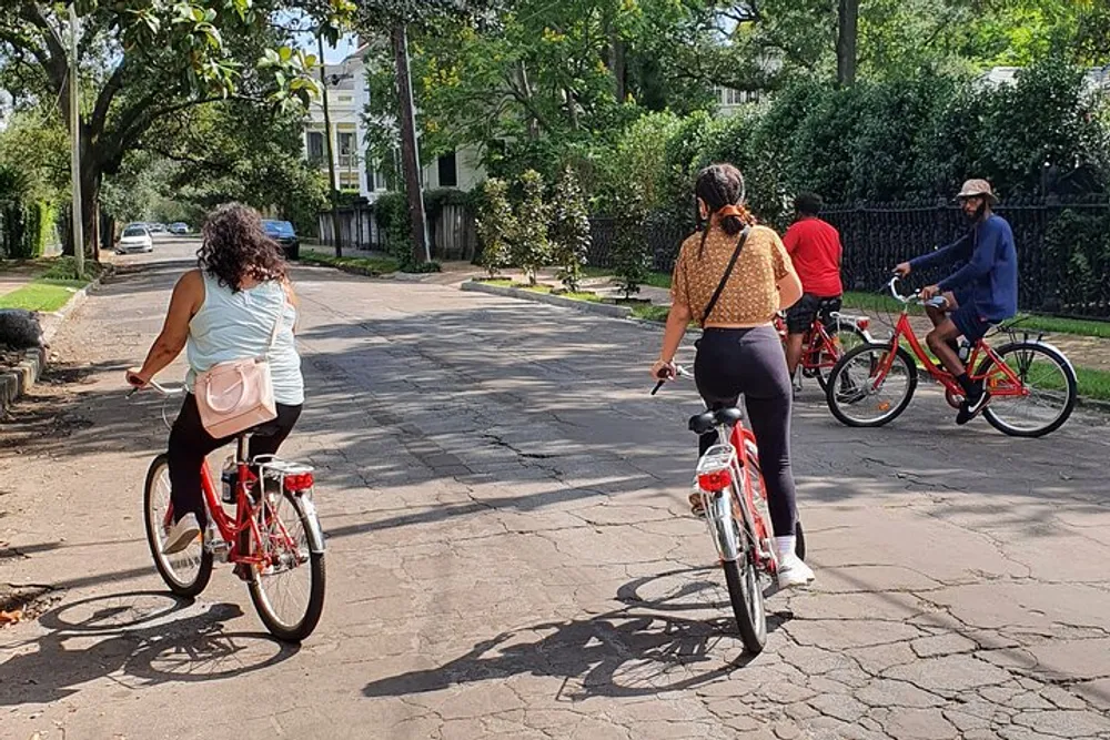 Four people are leisurely cycling down a shaded tree-lined street on a sunny day