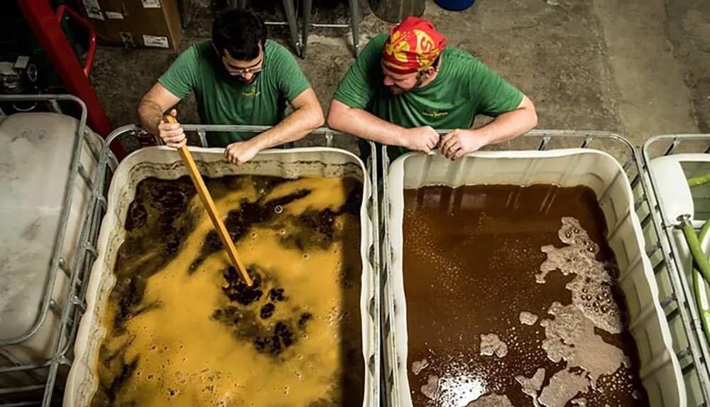 Two individuals are intently monitoring or stirring large vats of a brown liquid possibly during a brewing or fermentation process