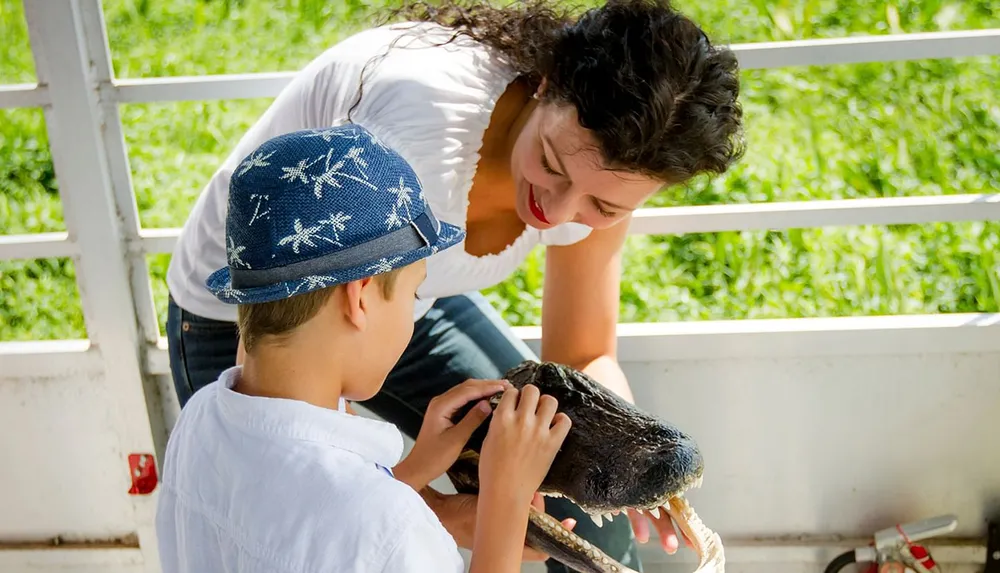A woman is smiling at a young boy in a hat as he gently touches an alligator being held by her in a sunny outdoor setting