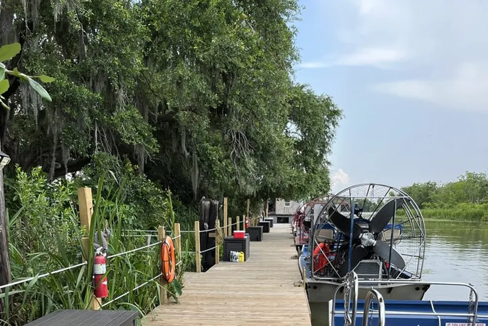A dock lined with airboats extends into a swampy area shaded by trees draped with Spanish moss