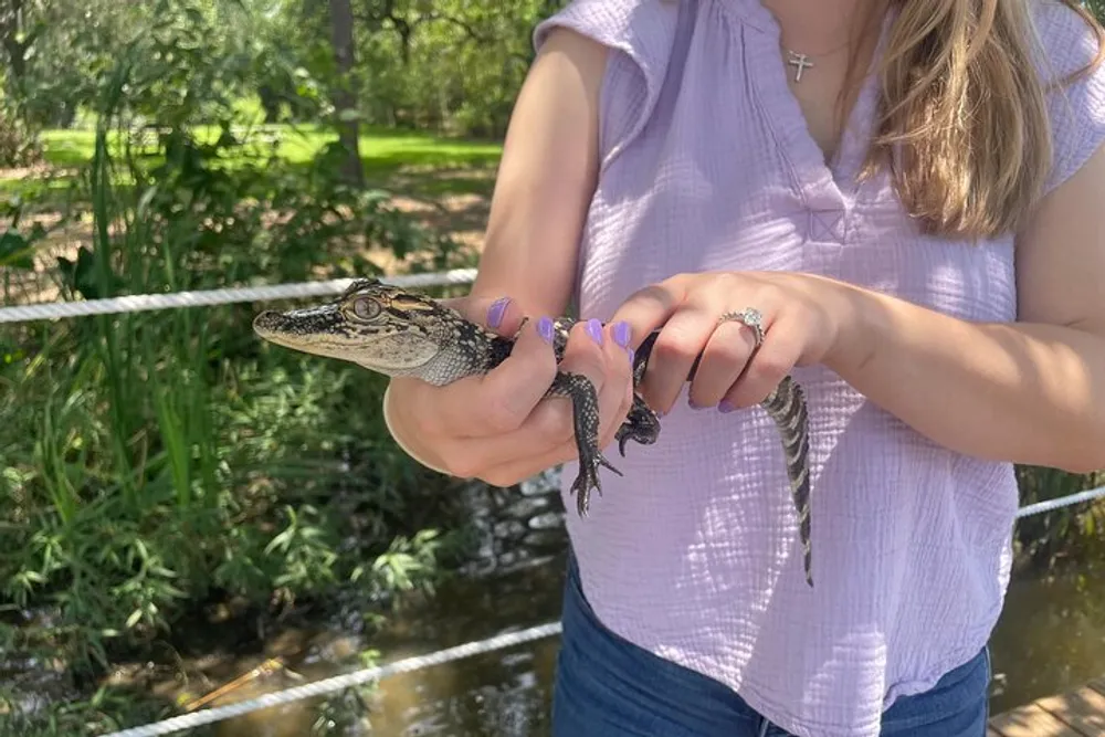 A person is holding a small alligator outdoors displaying its body up close to the camera