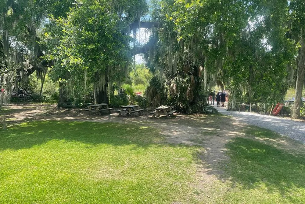 The image shows a sunlit park with green grass and picnic tables under trees draped with Spanish moss with a path leading to people in the background