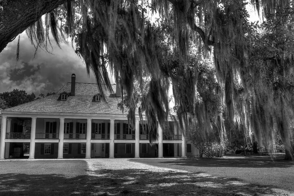 The image shows a monochrome view of a grand traditional plantation-style house with large windows and a spacious porch framed by the haunting drapery of Spanish moss trees