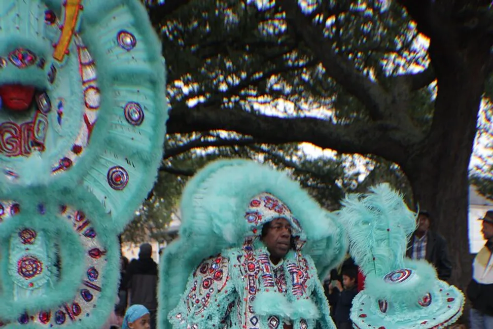 A person is dressed in an elaborate and colorful feathered costume at a festive event with others around observing the spectacle