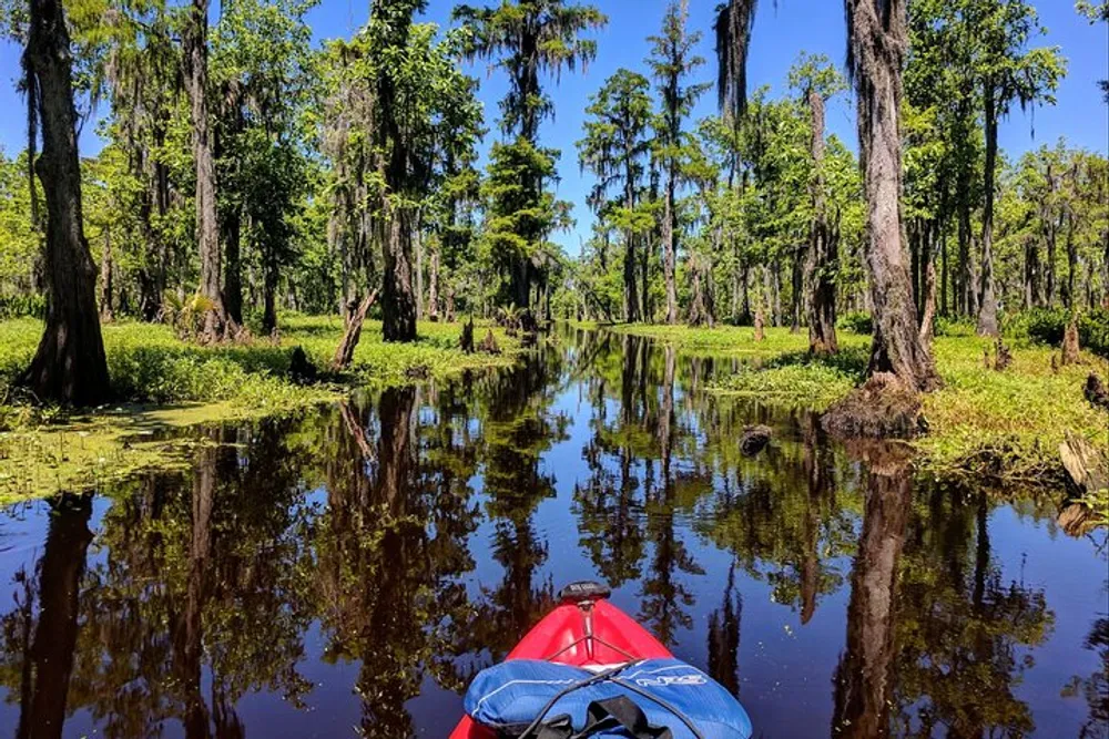 A red kayak navigates through a tranquil swampy waterway lined with moss-draped trees under a clear blue sky