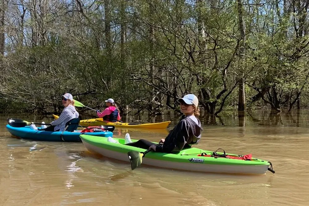 Several people are kayaking on a calm tree-lined river on a sunny day