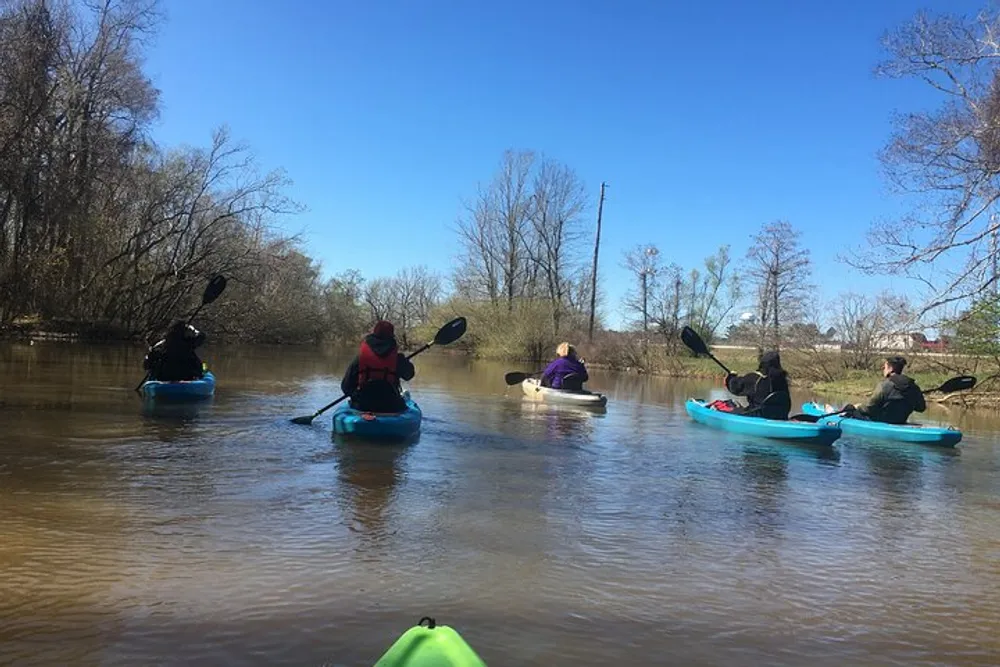 A group of people kayaking on a calm river surrounded by natural scenery under a clear blue sky